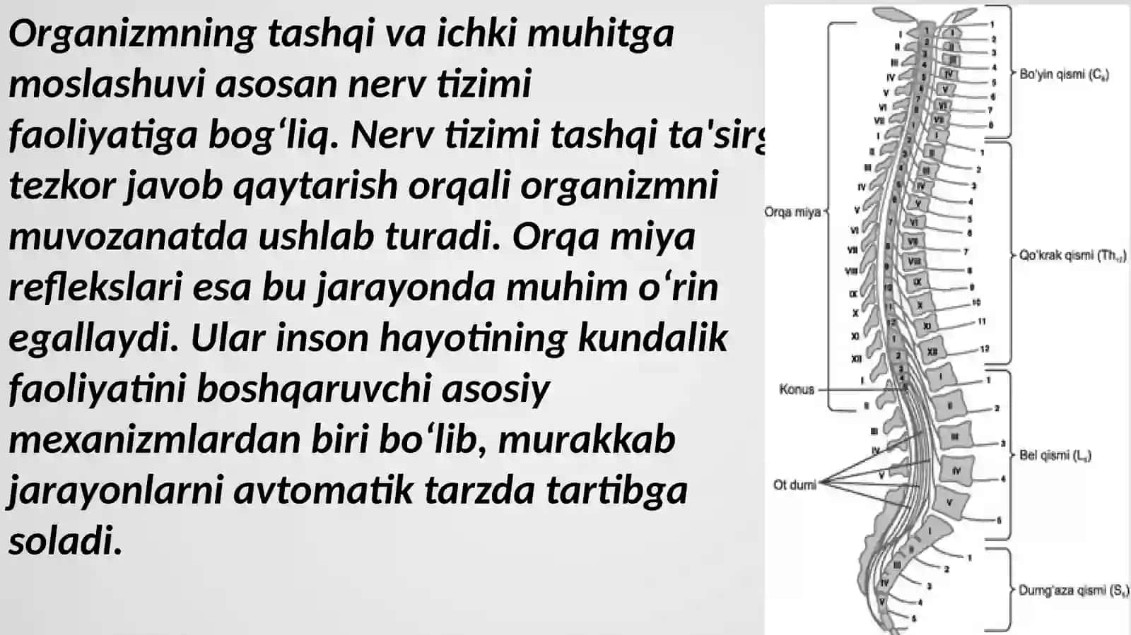 Yoshfiziologiyasivagigiyenasi 3