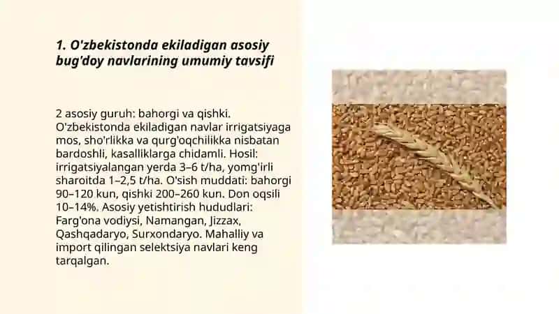 O'zbekistonda ekiladigan asosiy navlarining tavsifi 3