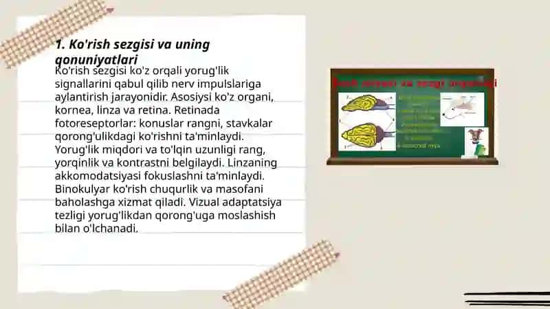 Sezgi turlari va uning qonuniyatlari 3