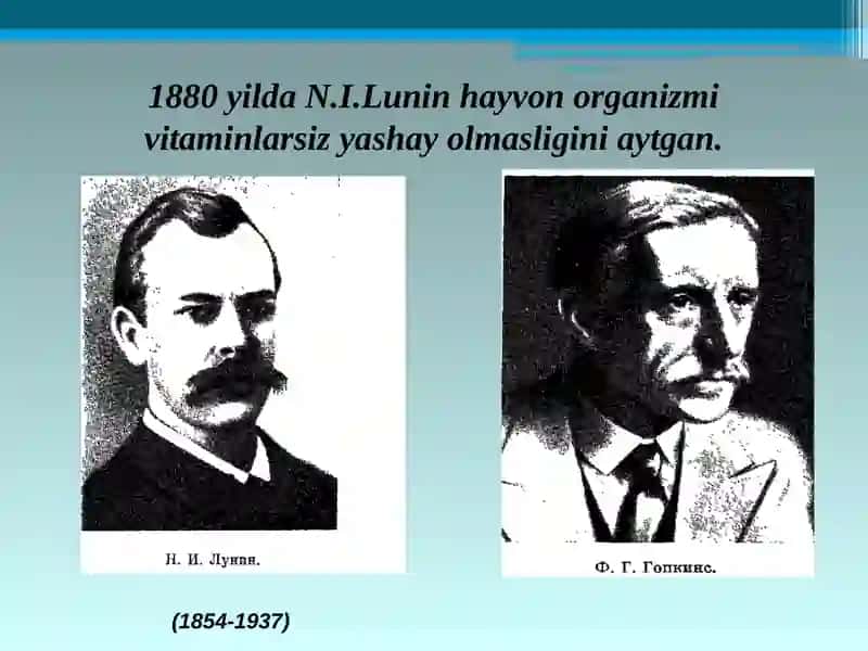 Vitaminlar va ularning organizm uchun ahamiyati 3