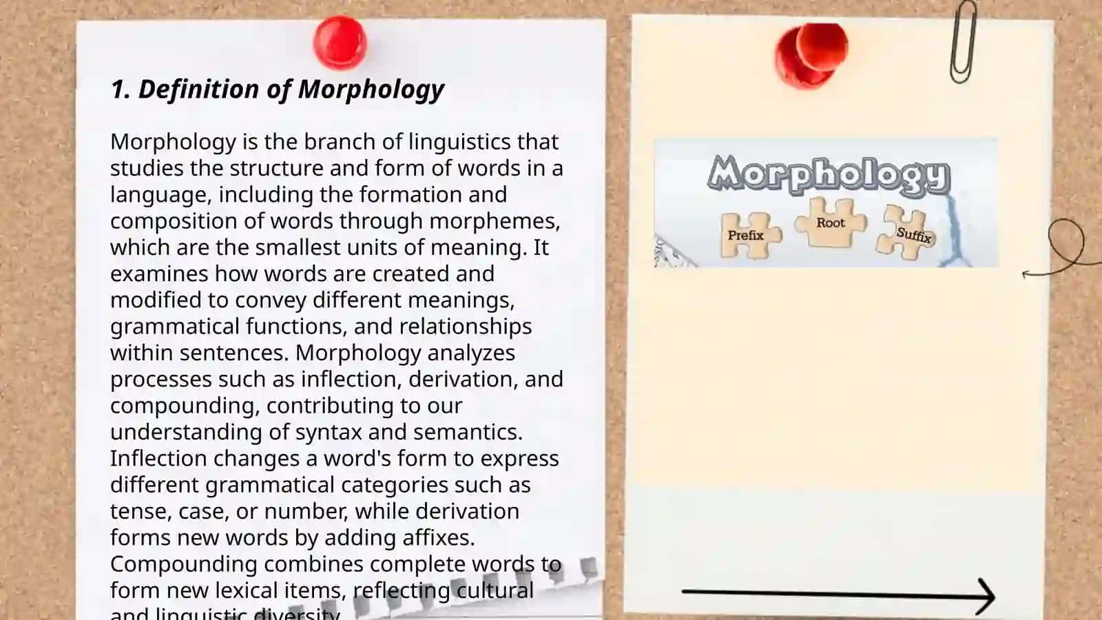 What is Morphology in English 3