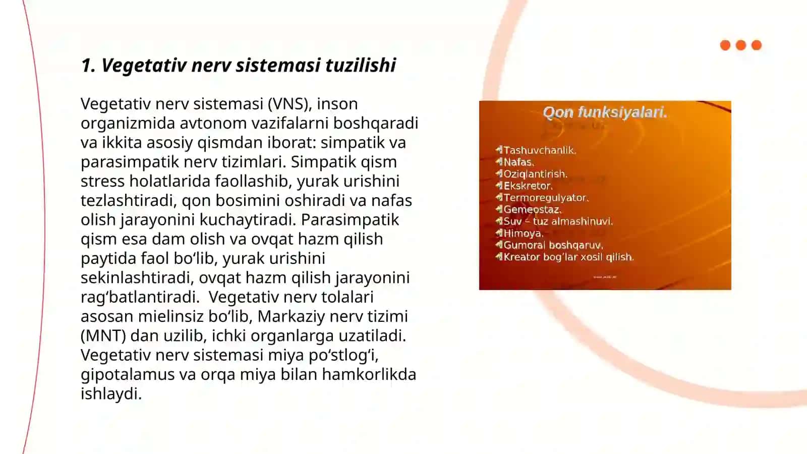 Vegetativ nerv sistemasi fiziologiyasi 3