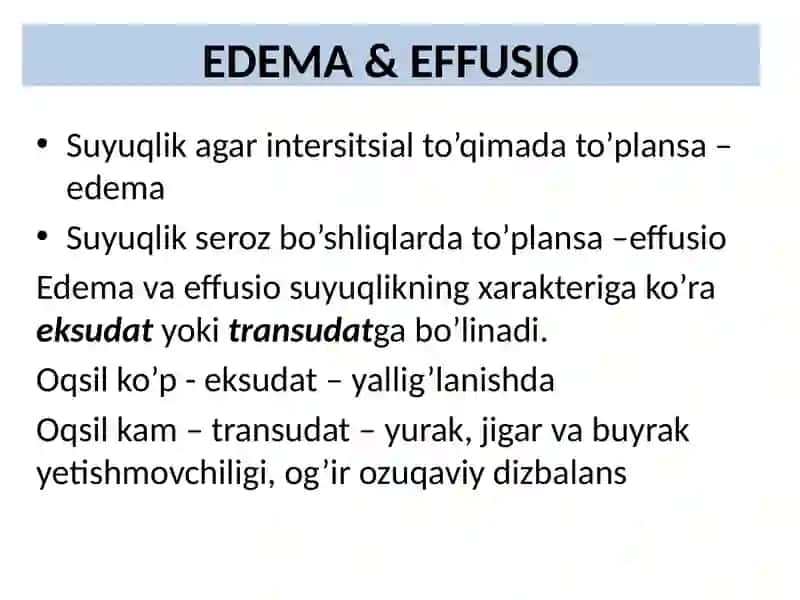 SHISH VA GIPEREMIYA 3