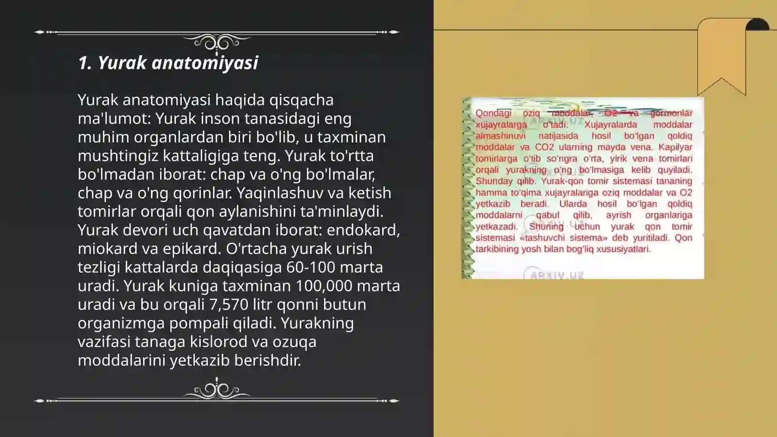 Qon tomirlar sistemasi turlari joylanishi. Katta va kichik qon aylanish doirasi 3