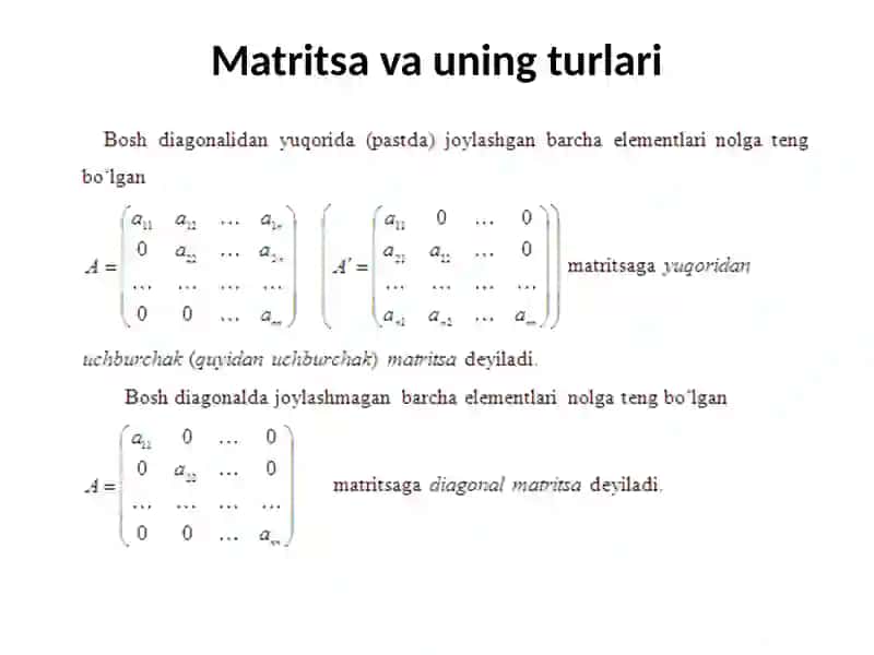 Matritsa va uning turlari 3
