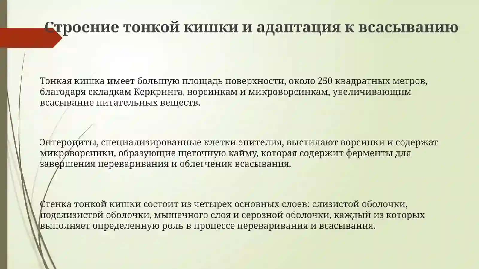 Механизмы всасывания в каторь питательных вещество (белков, жиров углеводов минералных солей 3