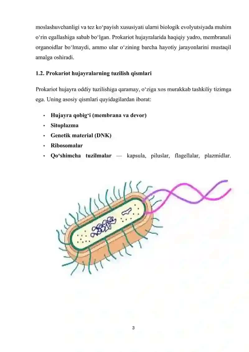 Prokariot va eukariot hujayralarning tuzilishi va biologik xususiyatlari. 3