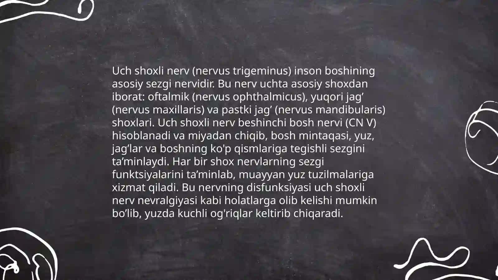 ANATOMIYA UCH SHOXLI NERV,BIRINCHI, IKKINCHI, UCHINCHI SHOXLARI TUZULISHI VA UNING INERVATSIYA ZO`NALARI 3