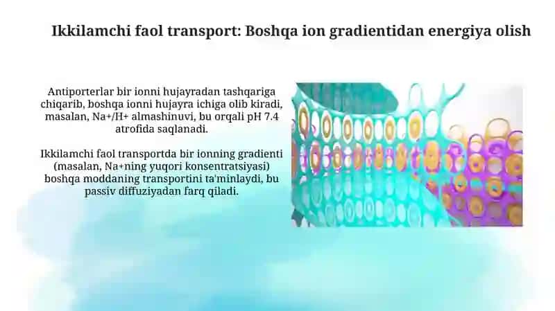 Hujayra membranasi uning nozik tuzilishi va hujayraga moddalarning kirishi 3