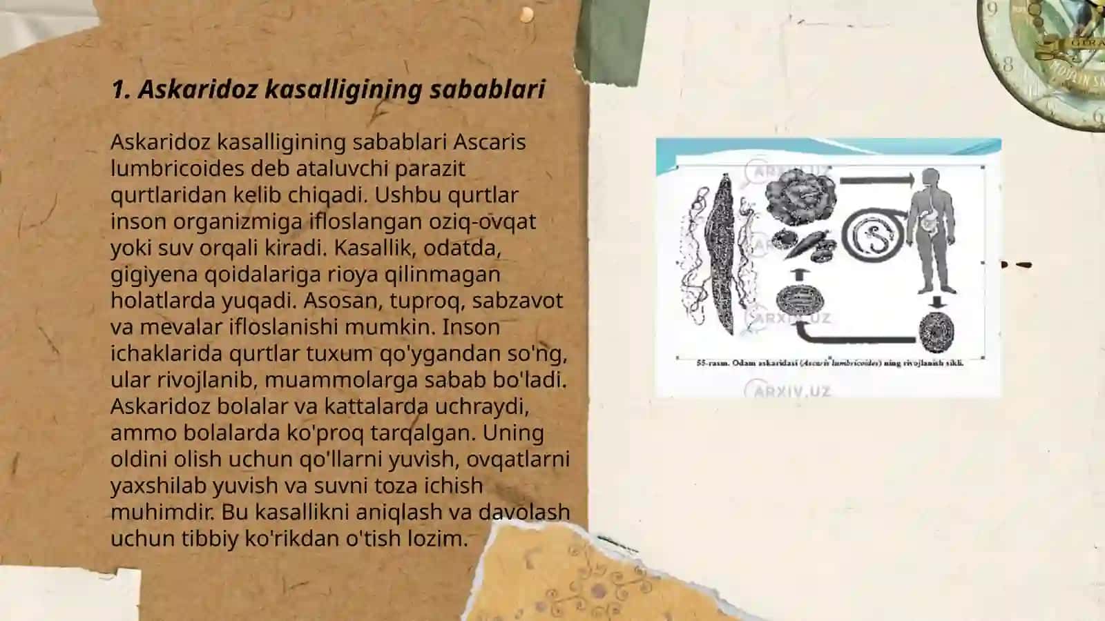 Askaridoz kasalligi va uning profilaktikasi 3