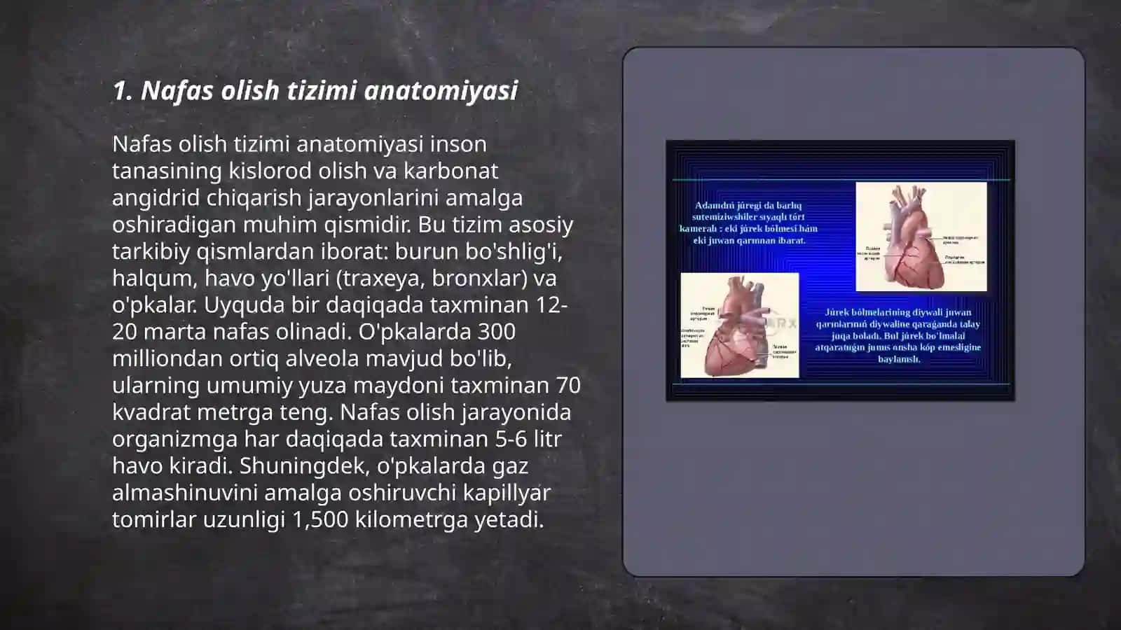 Nafas tizimi kasalliklari bilan kasallangan bemorlarni parvarishi va ularni nazororati 3