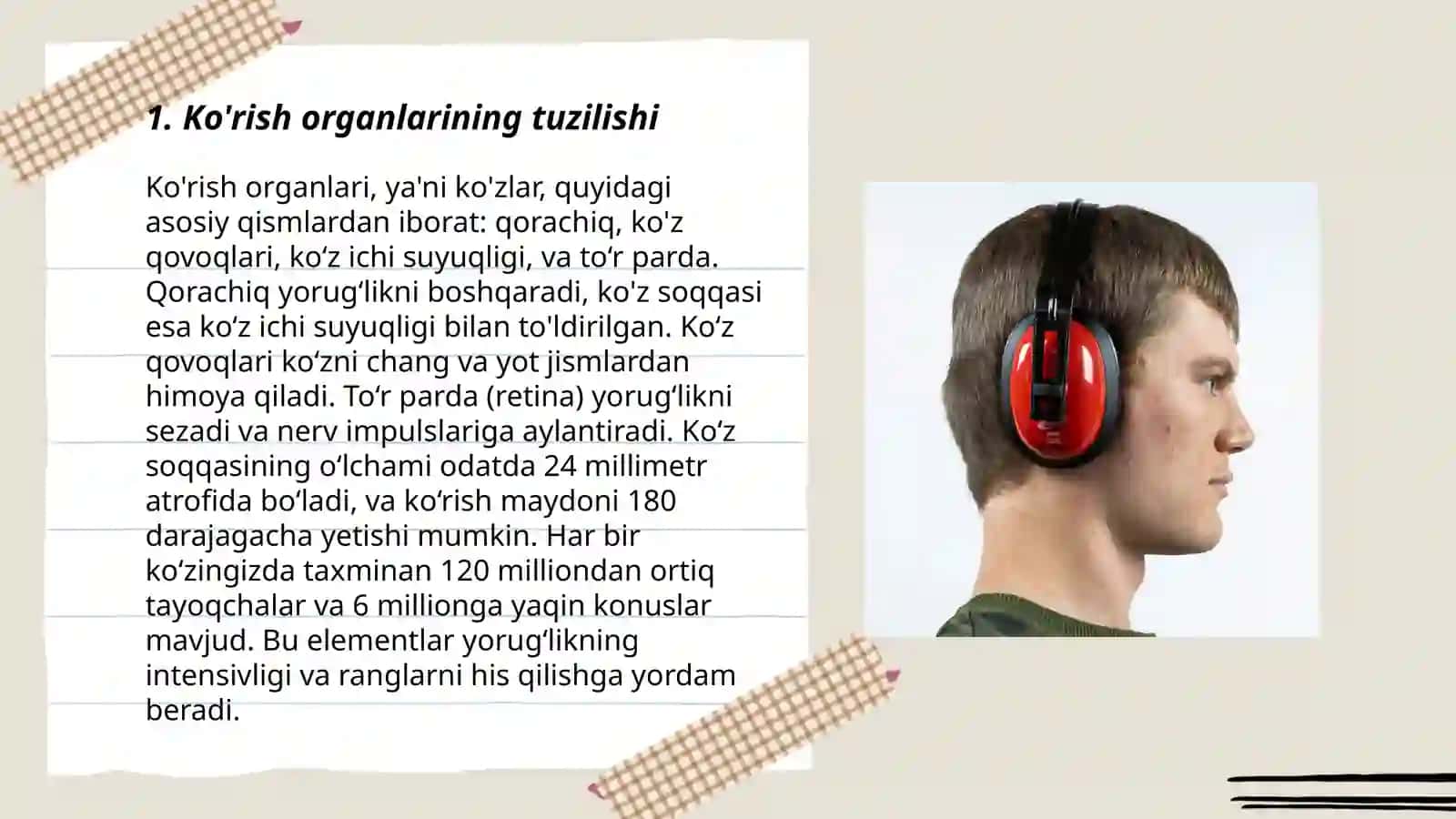 Ko'rish va eshitish organlarining xususiyati va gigiеnasi 3