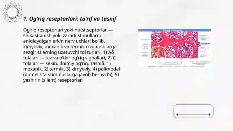 Ogʻriq reseptorlari: taʼrif va tasnif 3
