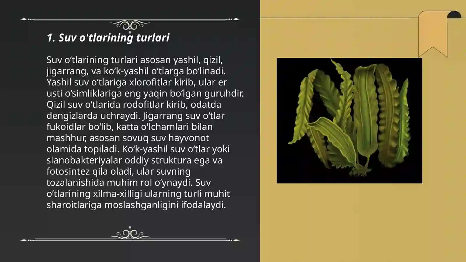 Suvo'tlarning ekologiyasi va ahamiyati 3