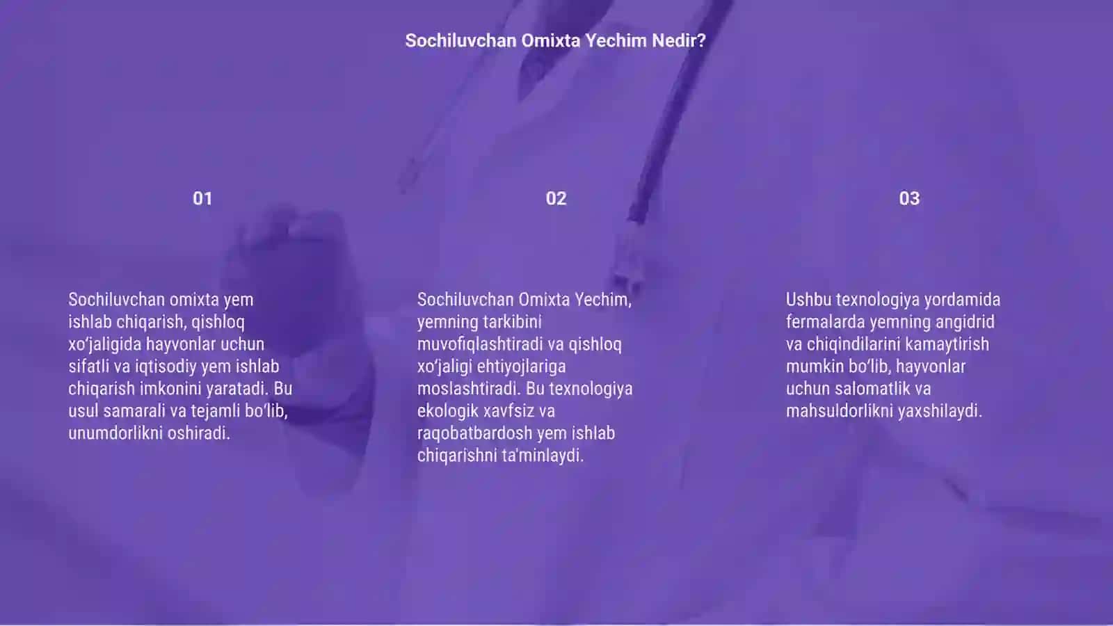 Sochiluvchan Omixta Yem Ishlab Chiqarish 3