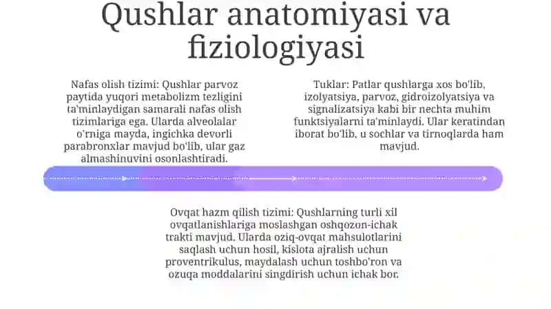 Qushlar 3