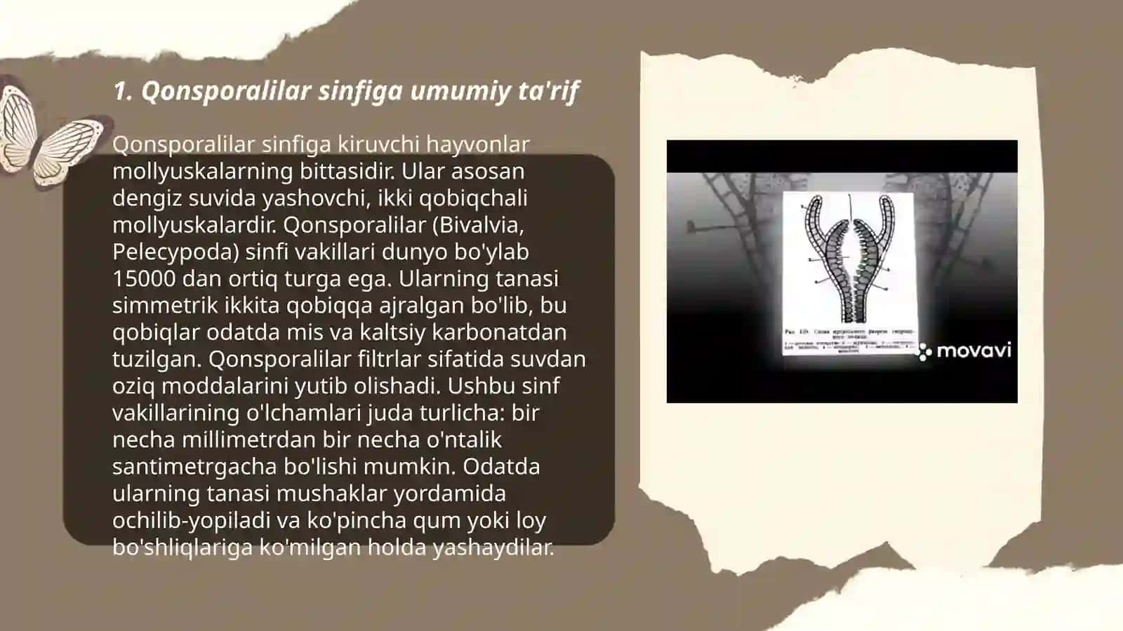 Sporalilar sinfi.Qonsporalilar turkumi 3