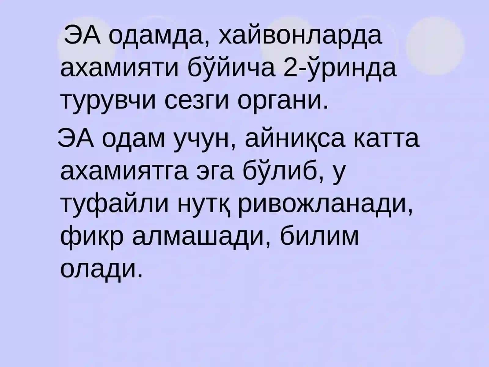 Эшитув ва вестибуляр анализаторларининг анатомияси 3