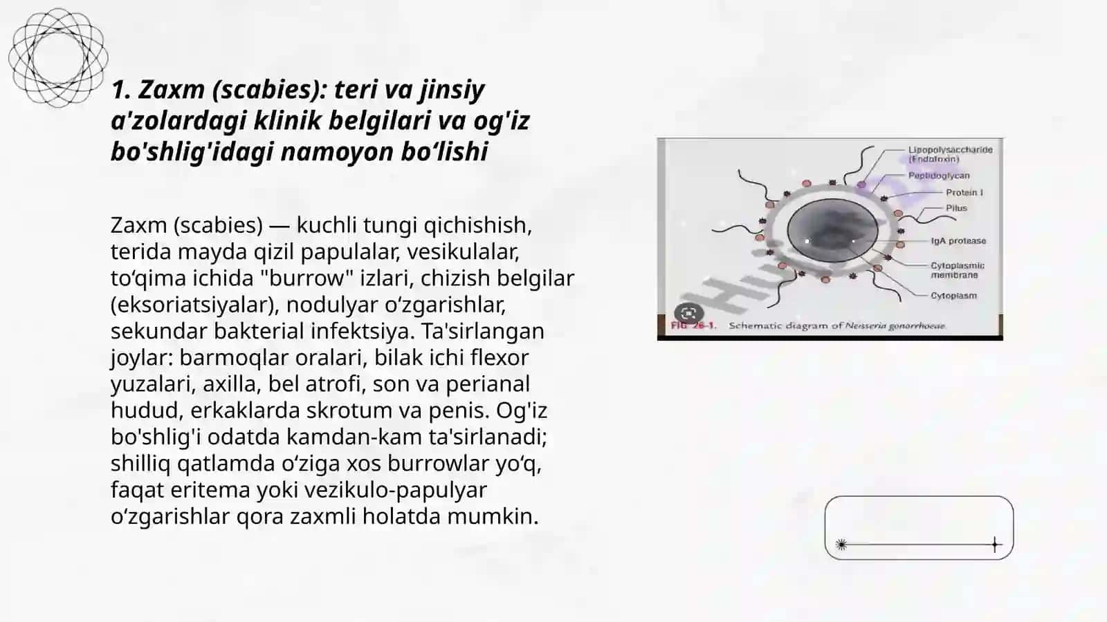 Teri-tanosil infeksiyalari(zaxm,so'zak,Xlamidiya,mikoplazma va b.) Va og'iz bo'shlig'idagi o'zgarishlar 3