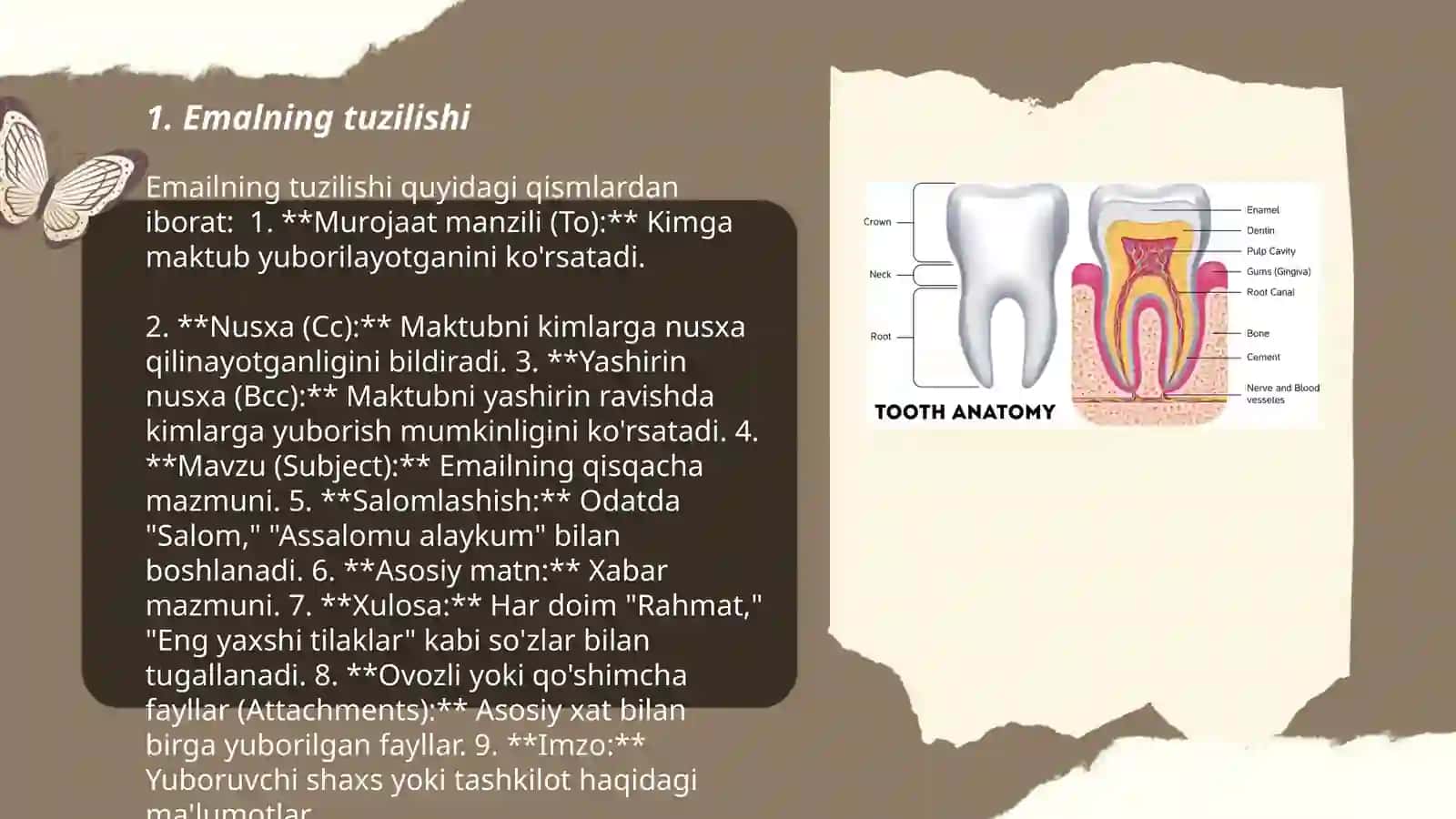 Tishlarning fiziologiyasi: emal, dentin va pulpa 3