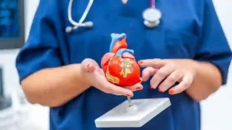 Explore blood groups and compatibility rules 3