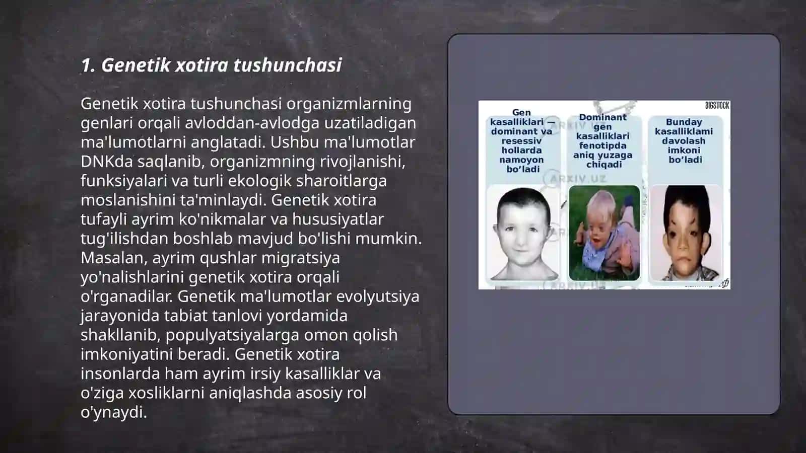 Xotira namoyon boʻlish genetik shakllari 3