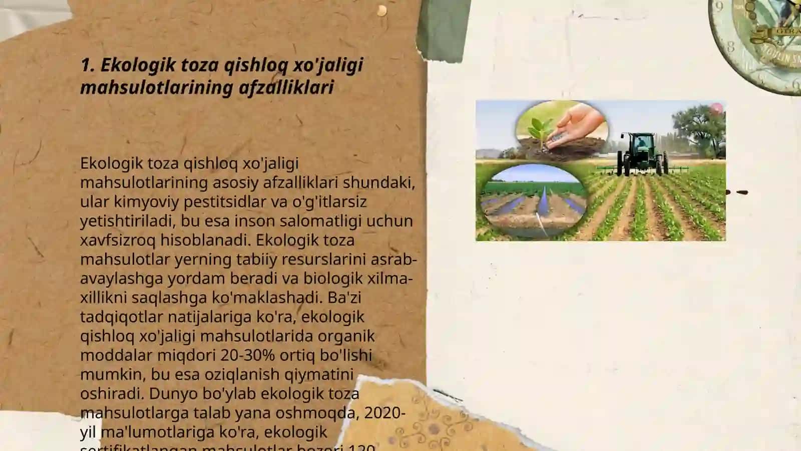 Ekologik toza qishloq ho'jaligi mahsulotlarini yetishtirish 3