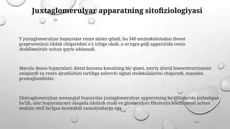 Buyrakning yukstaglomerulyar apparati sitofiziologiyasi.Nefronning gistofiziologiyasi 3