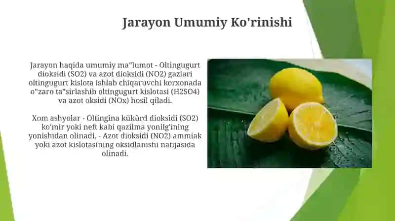 Nitroza Usulida Sulfat Kislota Ishlab Chiqarish 3