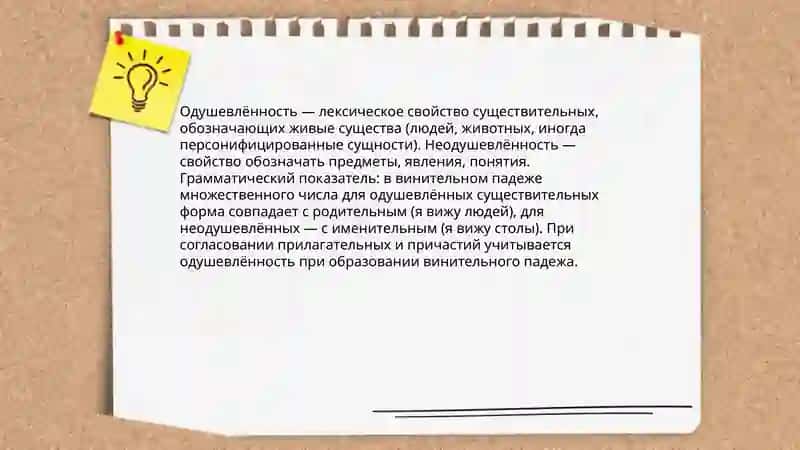 Одушевленные и неодушевленные имена существительные 3