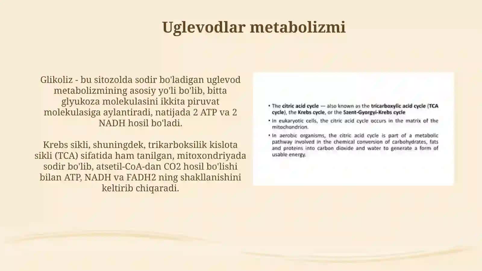 Moddalar almashinuvi uglevod yog vaoqsilmetabalizimi 3