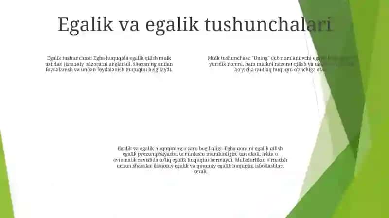 Ega. Ega Va Uning Ifodalanishi 3
