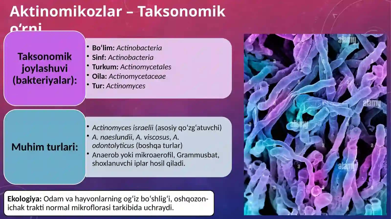 Aktinomikozlar, dermatomikozlar, kandidomikozlar. Kasallikning laborotoriya diagnostikasi. 3
