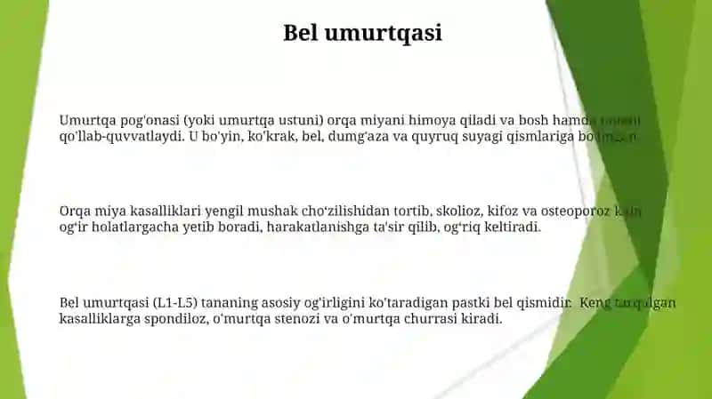 Umurtqa pog'onasi, bo'limlari va kasalliklari 3