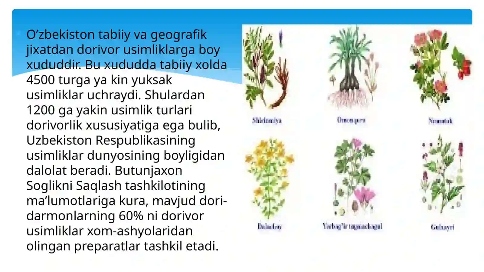 Istiqbolli dorivor о‘simliklardan foydalanish tarixi 3