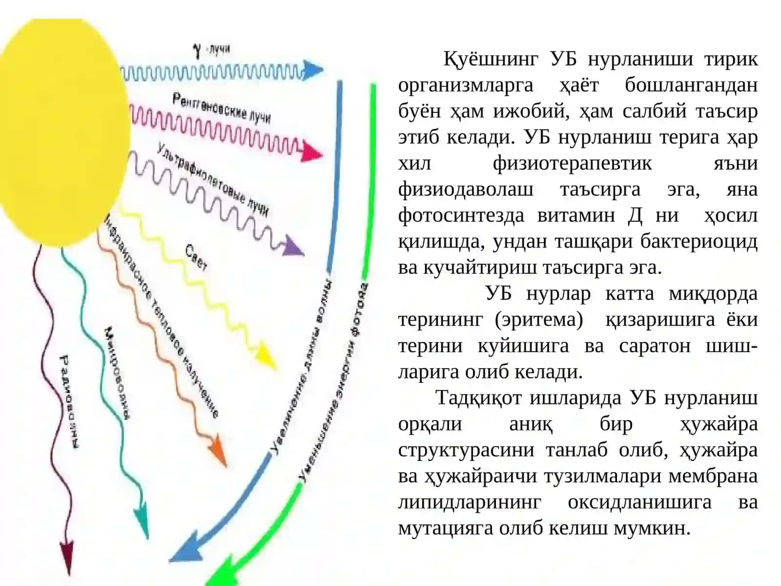 Квант биофизика элементлари 3