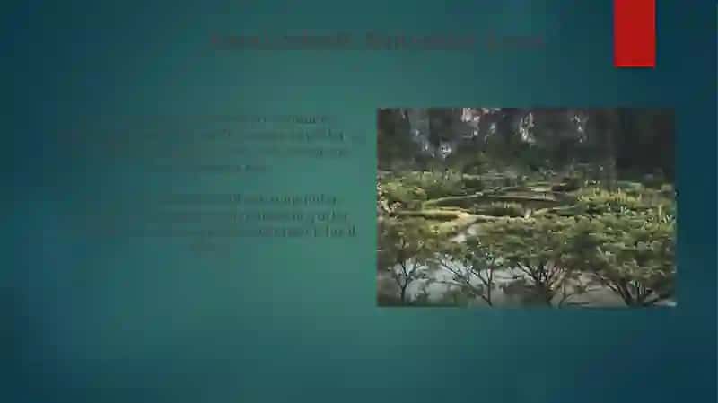 Karst jarayonlar va karst relyefiga tarif berish 3