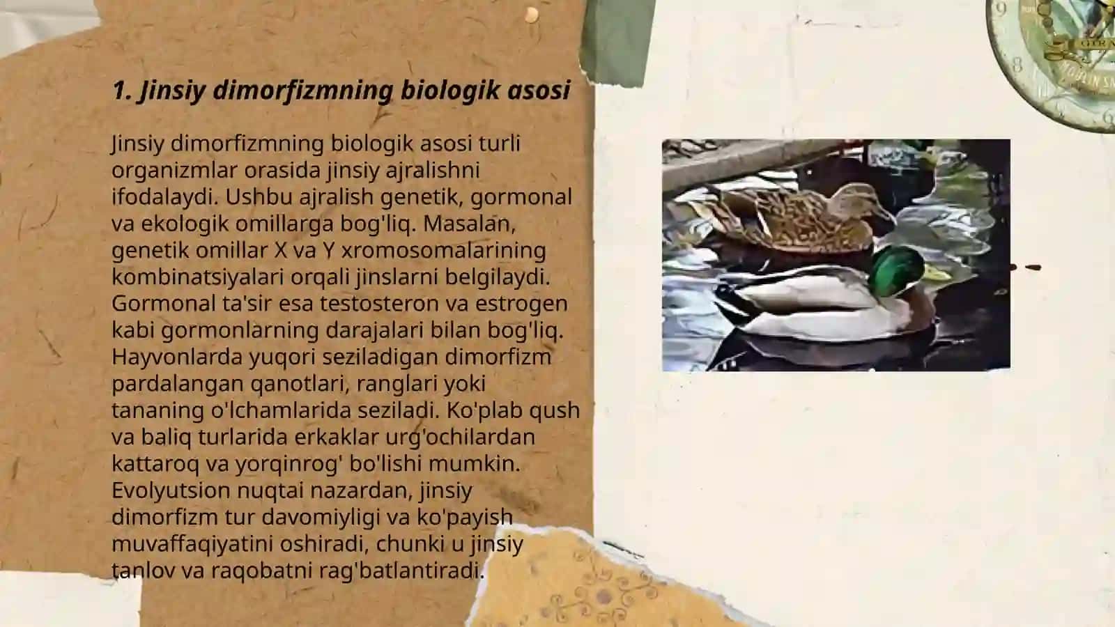 Qushlarda jinsiy dimorfizm 3