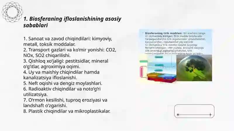 Biosferaning ifloslanishi va uning oldini olish masalasi 3