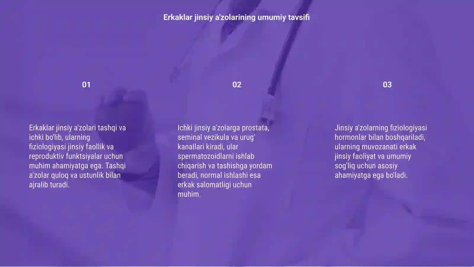 Erkaklar tashqi va ichki jinsiy a'zolarining fizialogiyasi 3
