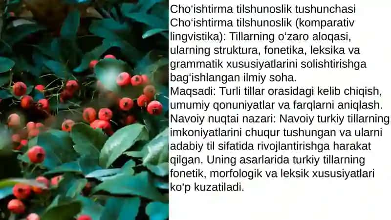 Alisher Navoiy vachoʼishtirmatilshunoslik 3