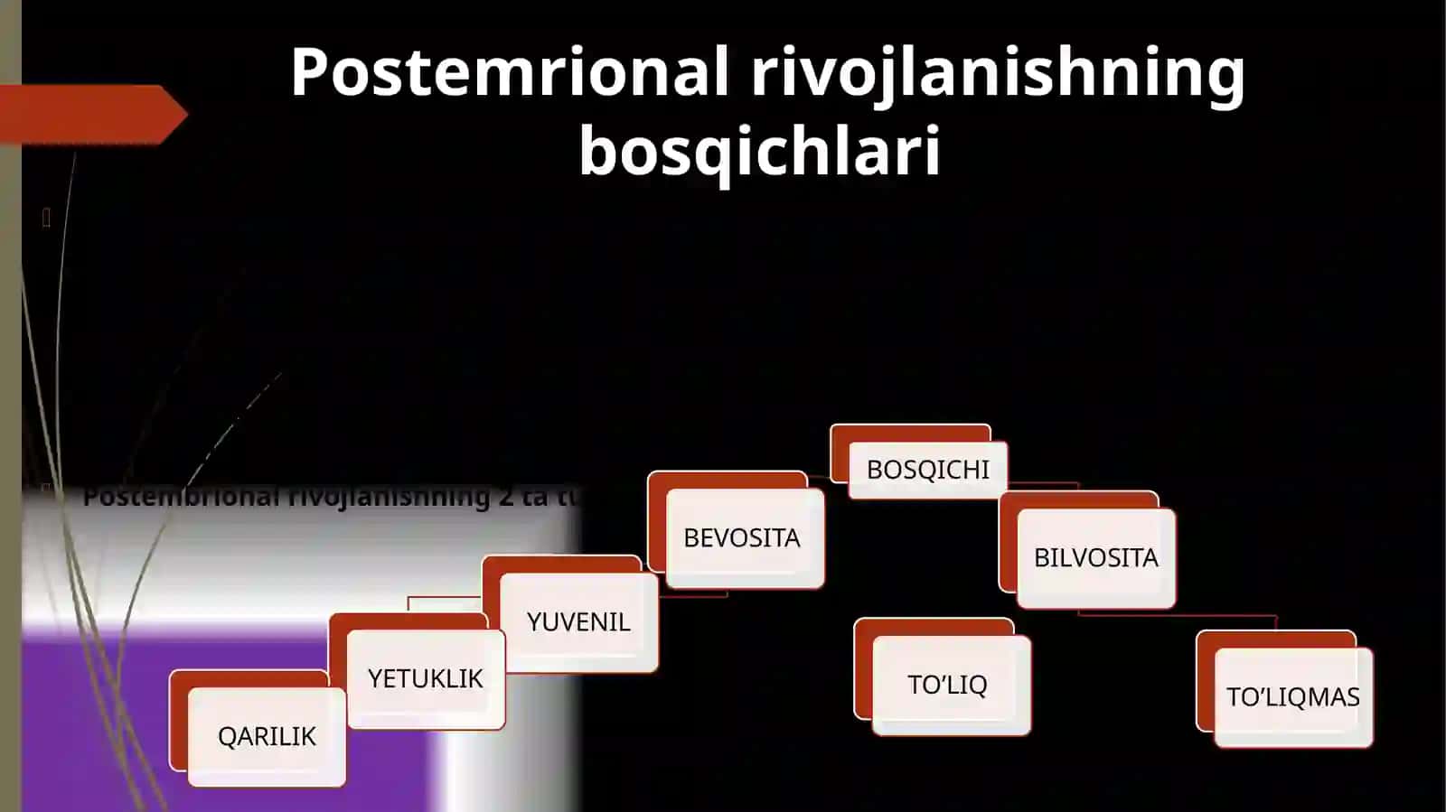 POSTNATAL ONTOGENEZDA OLIY NERV FAOLIYATINING TUZILISHI 3