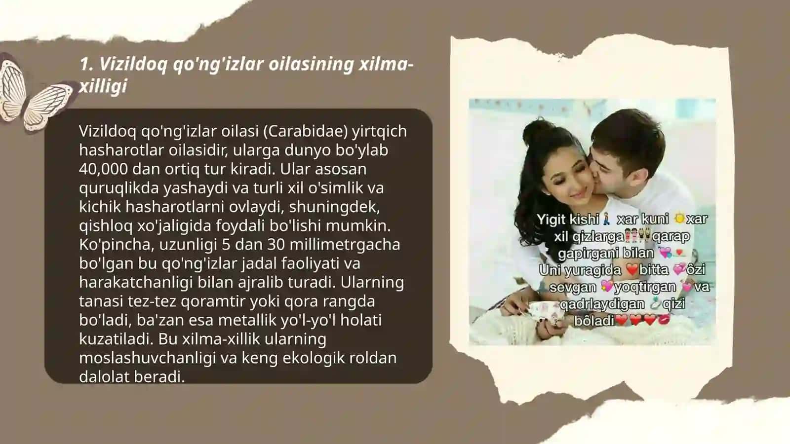 Vizildoq qo'ng'izlar oilasi bilan tanishuv 3