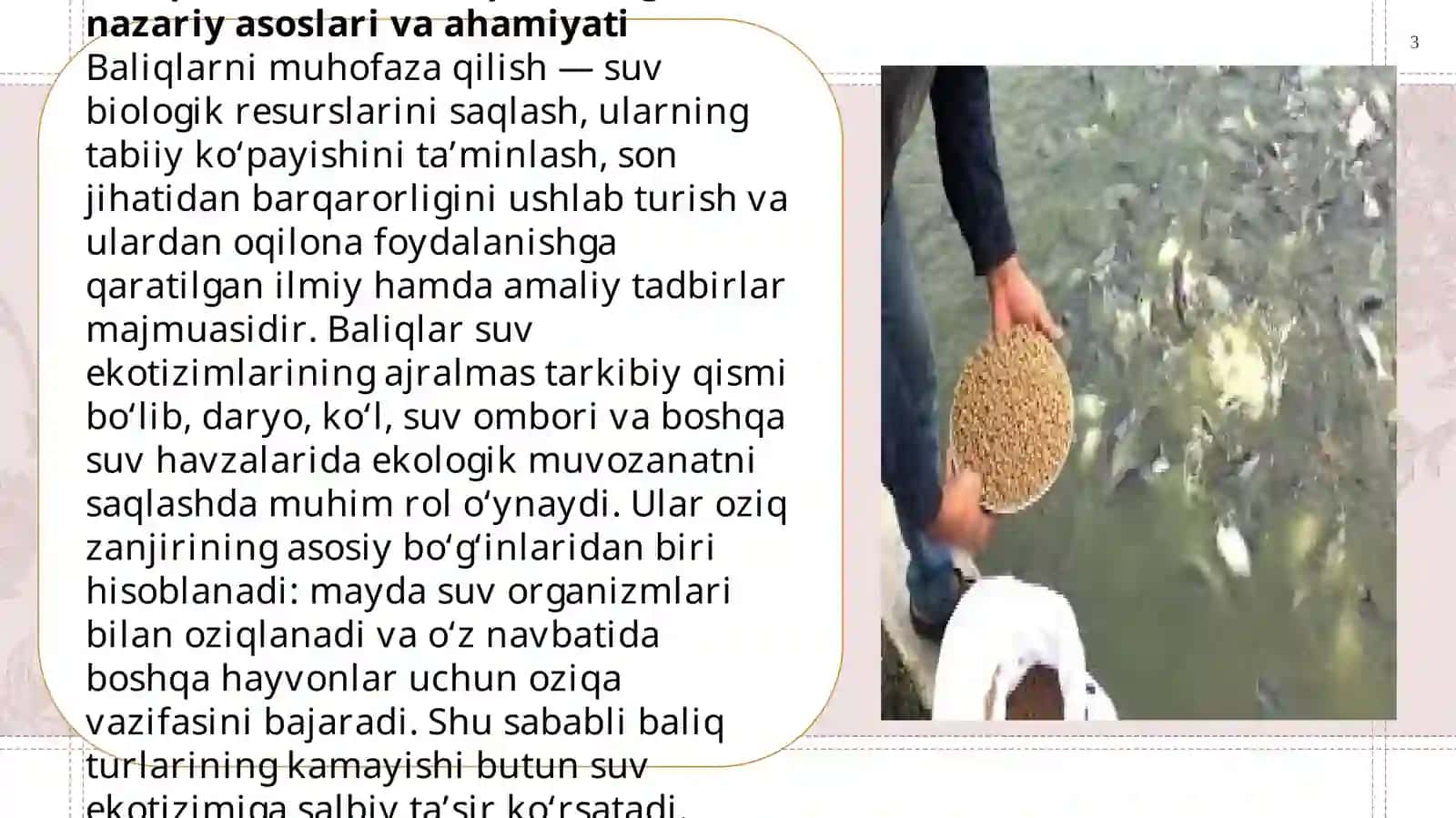 Baliqlarni muhofaza qilish va ulardan oqilona foydalanish masalalari, Oʻzbekistonda baliqchilik 3