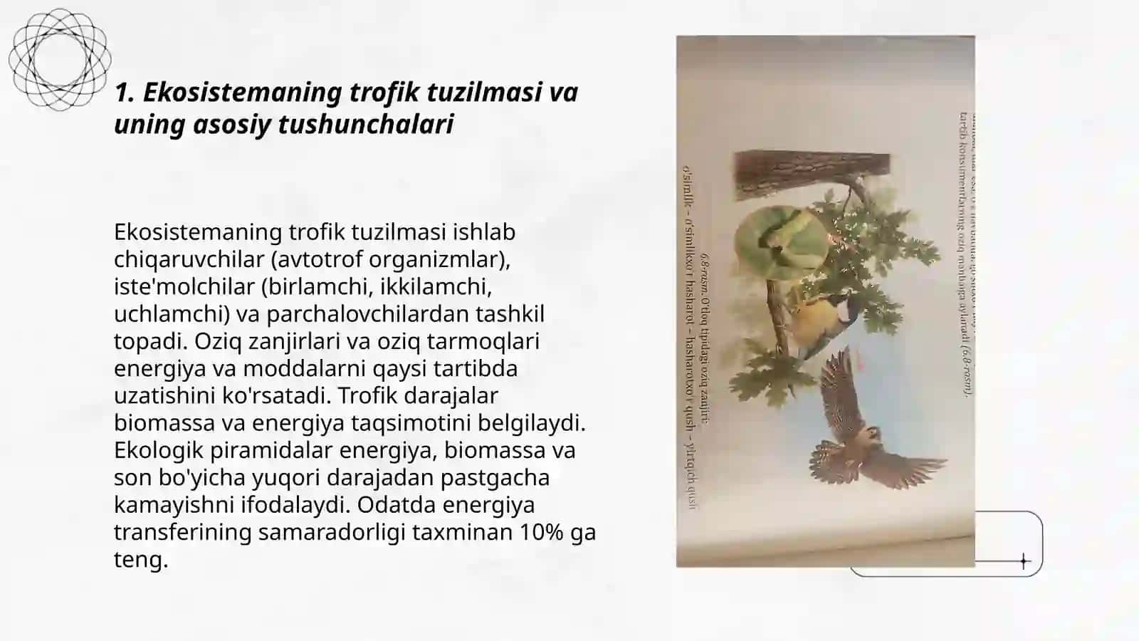 Ekosistemaning trofik strukturasi 3
