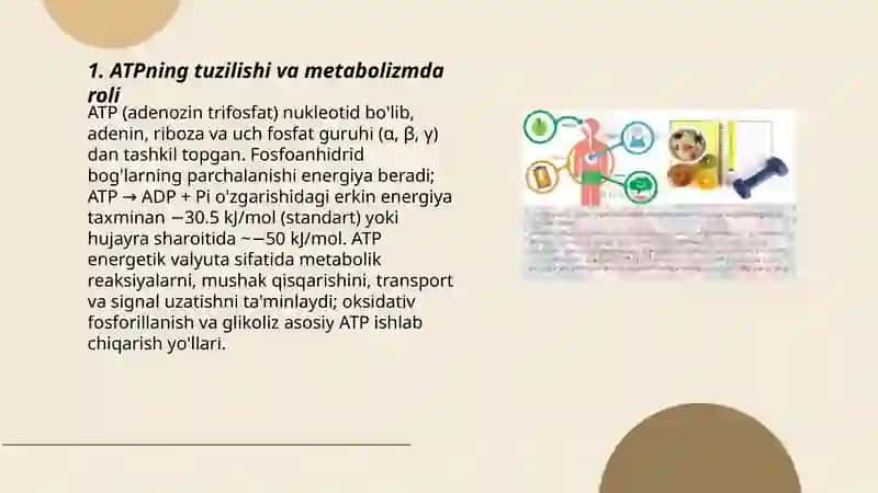 Metabolizm jarayonida energiya hosil boʻlishi va sarflanishi 3