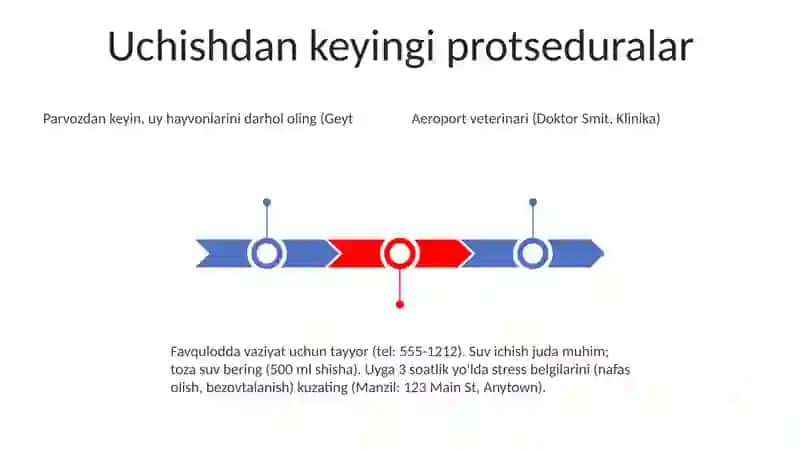 Aeroportlarda uy hayvonlarini qanday xavfsiz saqlash haqida kirish 3