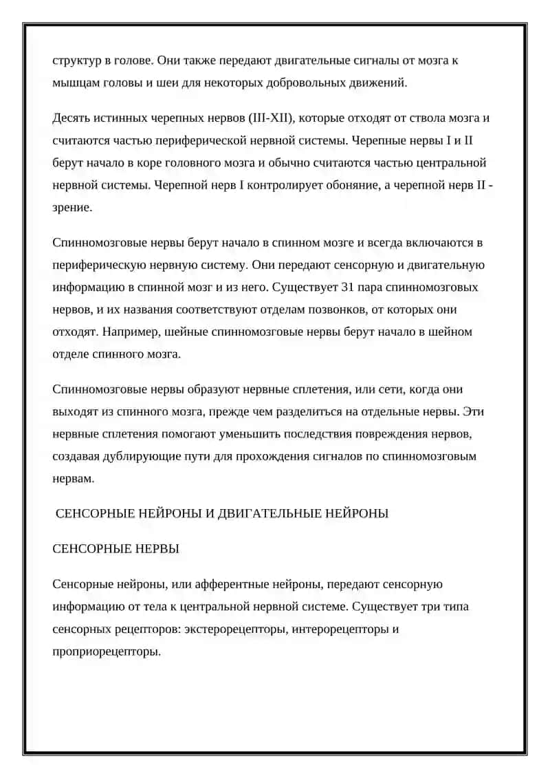 Периферическая нервная система 3
