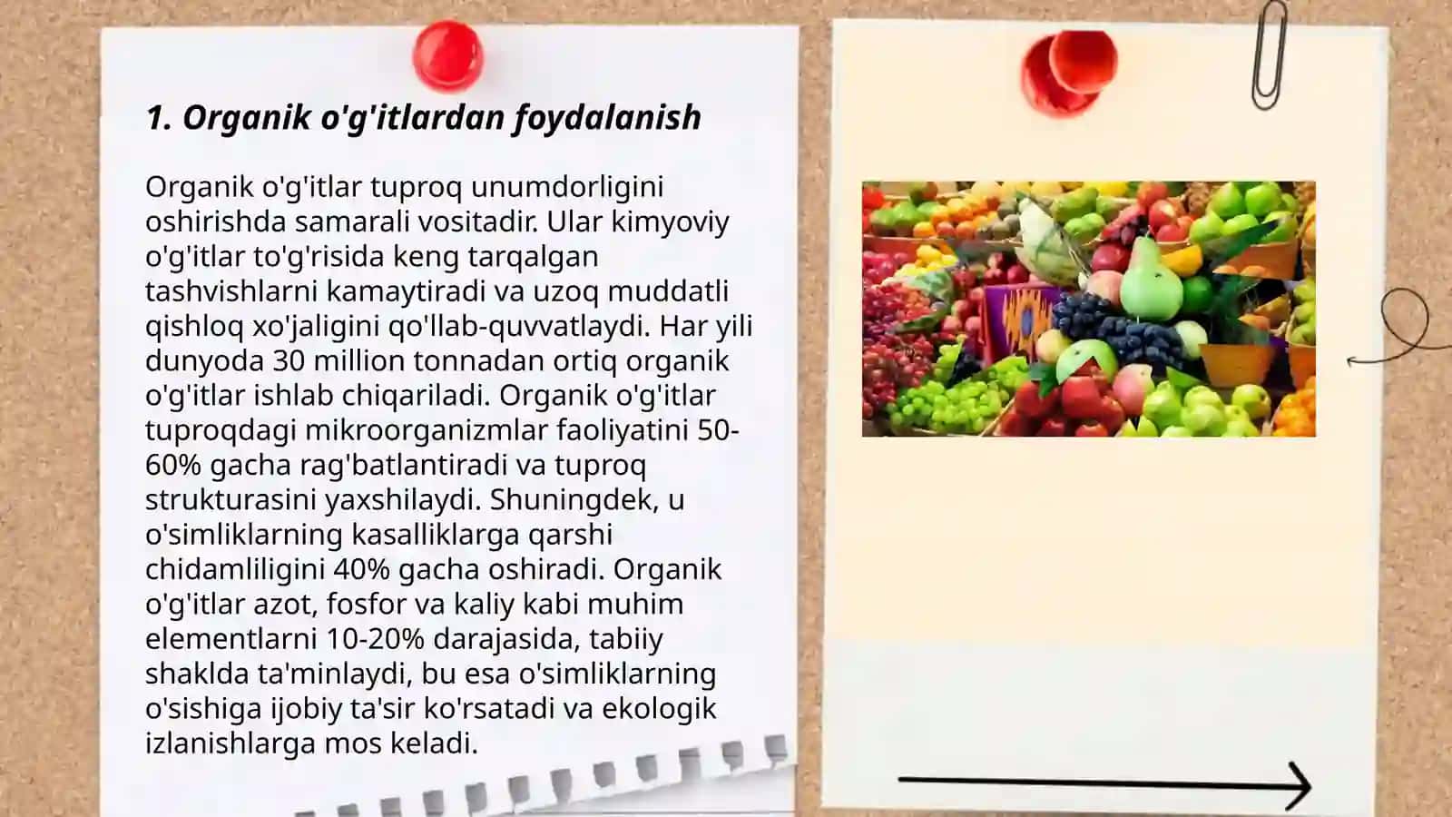 Ekologik toza qishloq xo'jaligi mahsulotlarini yetishtirish 3