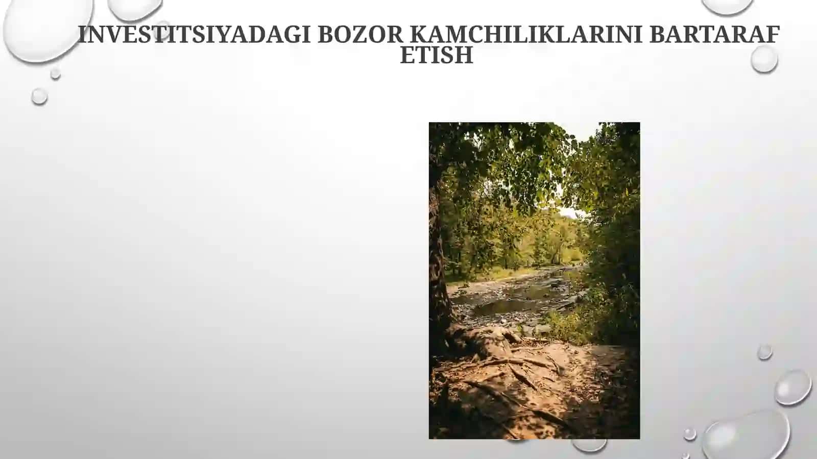 Investitsiya faoliyatini muvofiqlashtirishda davlatning roli 3